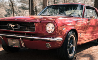 1965 Shelby Mustang GT350 Project Continues